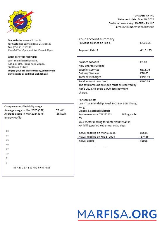 Blank Laos Electricite du Laos electricity business utility bill template in Word and PDF formats